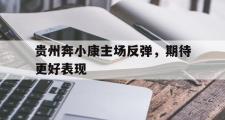 -包含贵州奔小康主场反弹，期待更好表现的词条