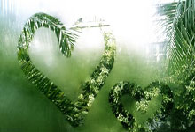 华体会登录-韩国队绝杀日本队，桃田贤斗统治全场的简单介绍