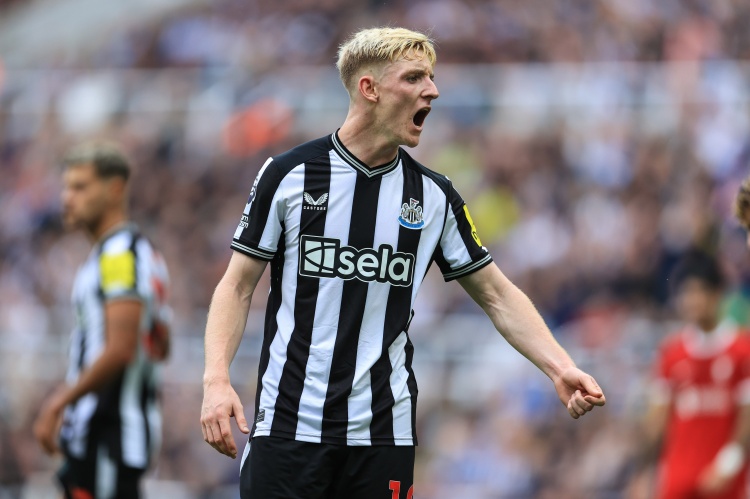 纽伦堡大胜霍芬海姆，保持不败纪录！的简单介绍