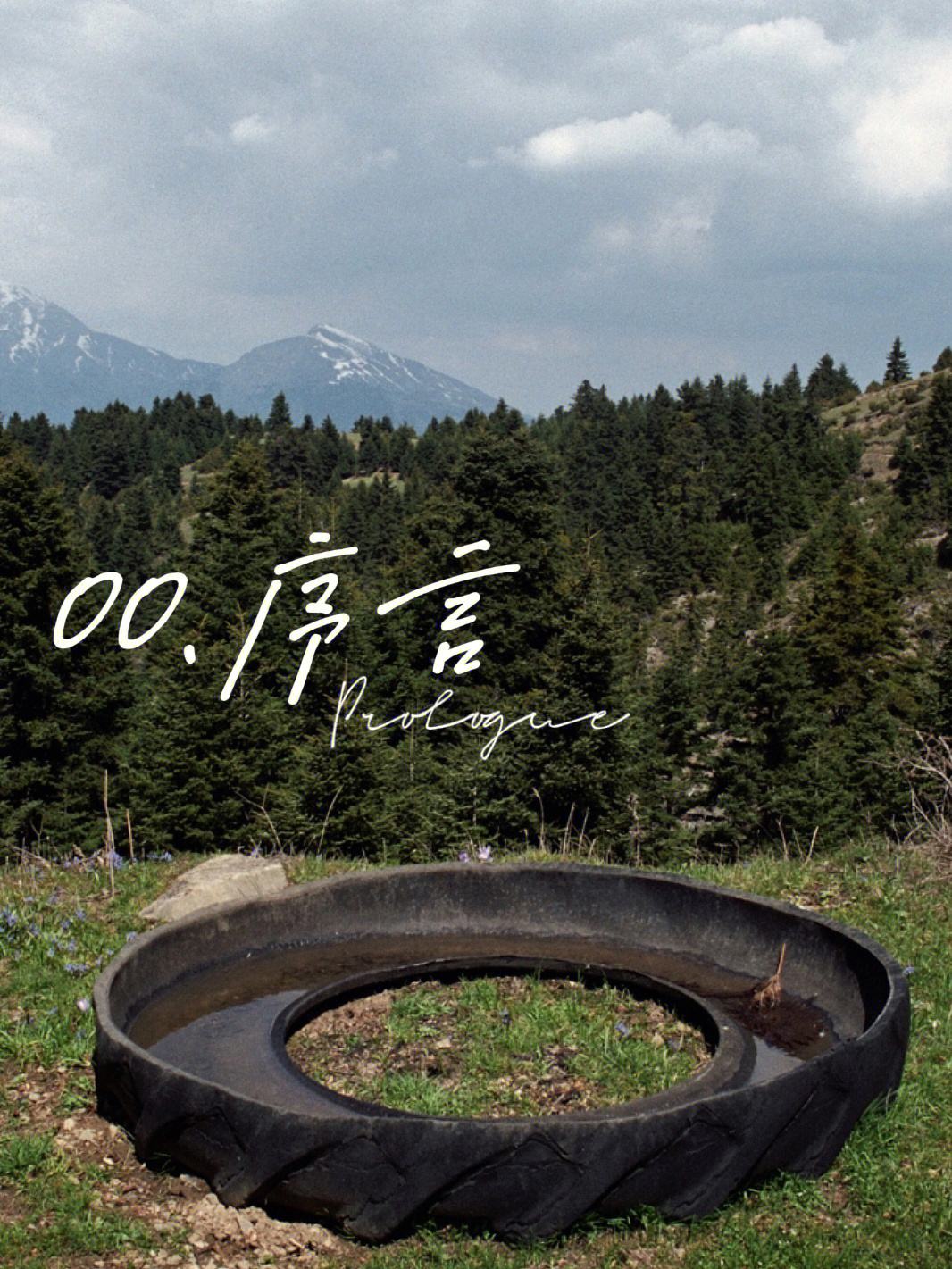 葡萄牙盼星充满能量,青春悍将令人期待 葡萄牙盼星充满能量,青春悍将令人期待