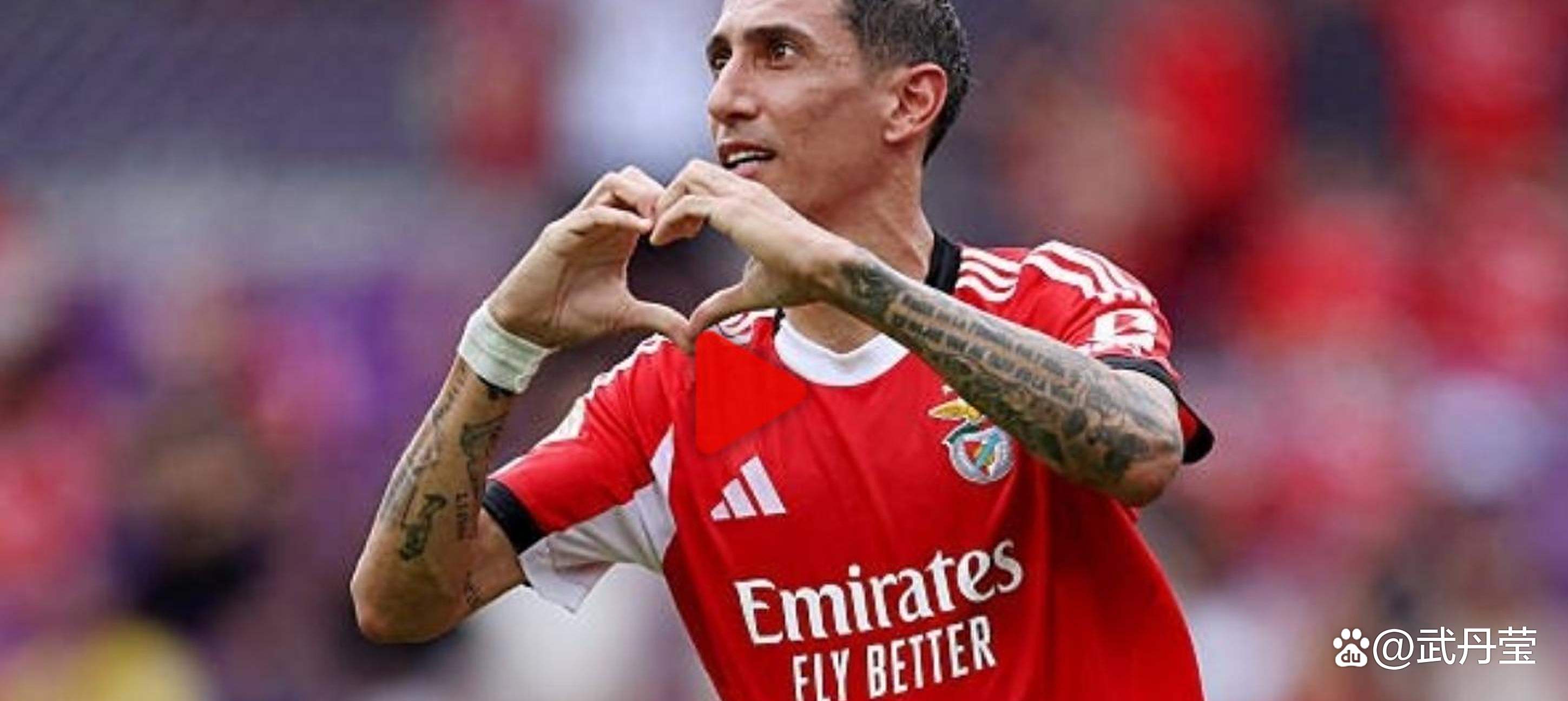 本菲卡遭遇波折，下轮有望涅槃重生！的简单介绍