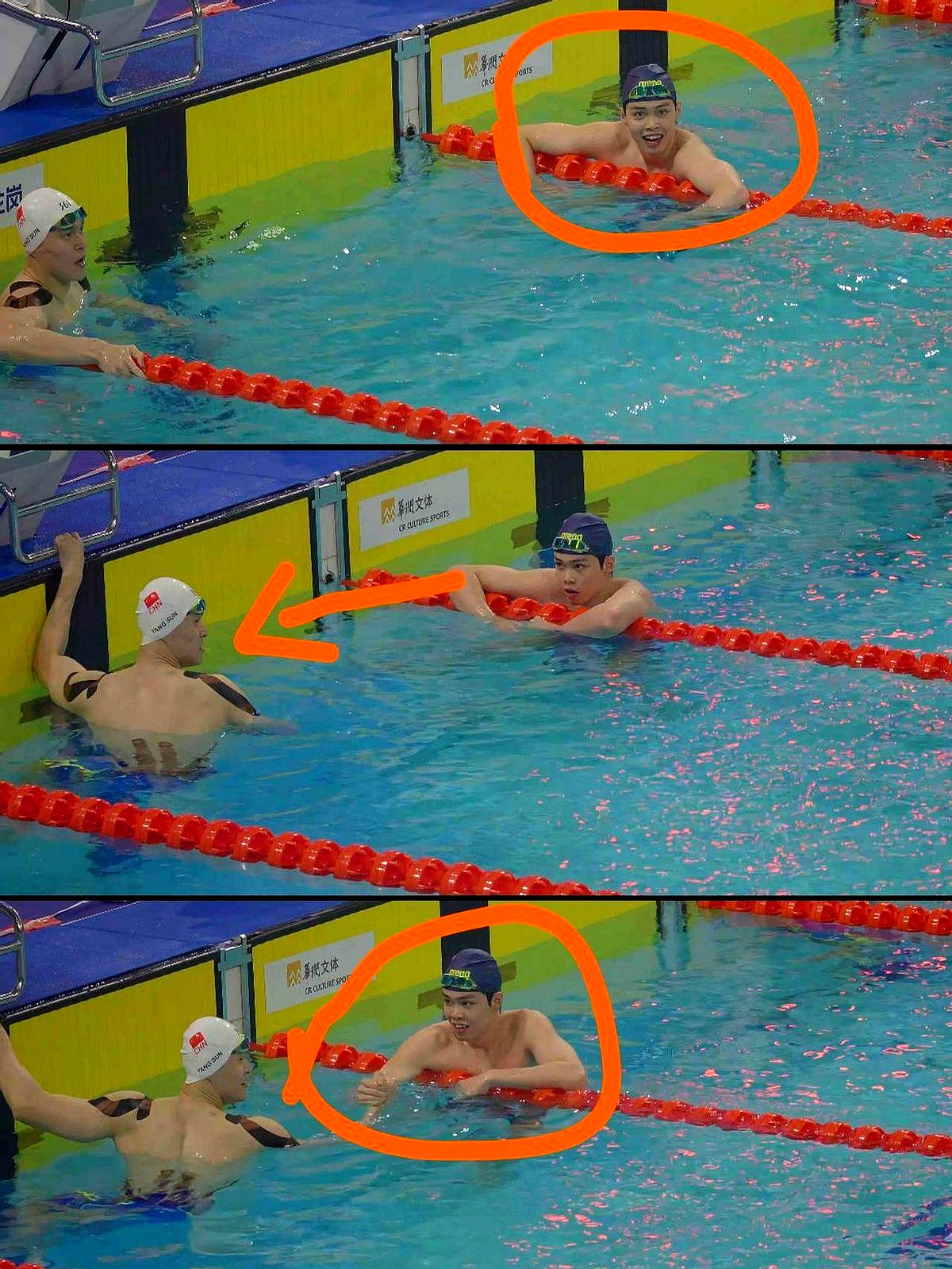 游泳选手努力划水,冲刺终点线 游泳选手努力划水,冲刺终点线