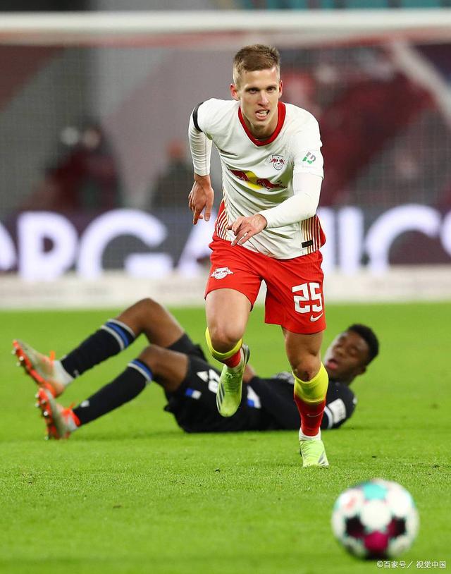 骑士负于猛豹，主场不敌对手